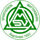 马特斯堡 logo
