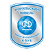 尼科尔诺里尔斯克室内足球队 logo