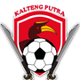 太子FC U20 logo