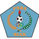PSBS巴克伦佛 logo