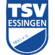 TSV埃辛根 logo