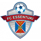 叶森图基FC logo