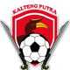 太子FC logo