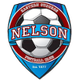 尼尔逊东郊 logo