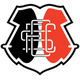 圣克鲁兹青年队 logo