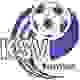 KSV特斯 logo