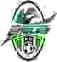 密西沙加老鹰 logo
