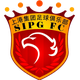 上海海港后备队 logo