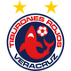 韦拉克鲁斯 logo