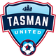 塔斯曼联 logo