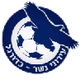 伊若尼内瑟U19 logo
