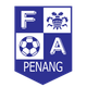 NTFA槟榔嶼 logo