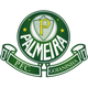 帕尔梅拉斯RN青年队 logo