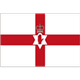 北爱尔兰U18 logo