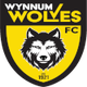 维纳姆狼U23 logo